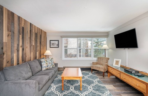 Telluride Condo | 1-Bedroom Pet-Friendly Unit at the Mountainside Inn
