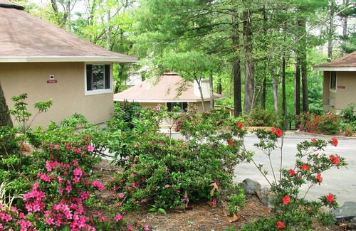 Asheville Villa | 1 Bedroom Vacation Villa
