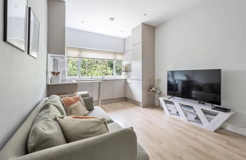 Snaresbrook Apartment | 1 BR LUXURY APARTMENT, BRIGHT, CLOSE to 2 CENTRAL LINE STATIONS, SLEEPS 2