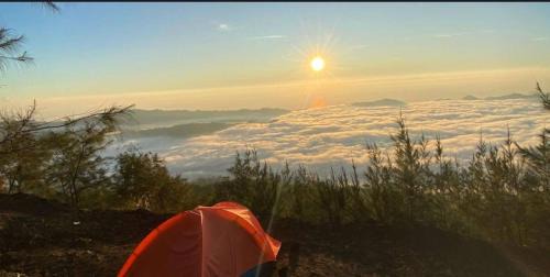 Toya Bungkah Other | 1 day camping on mount batur