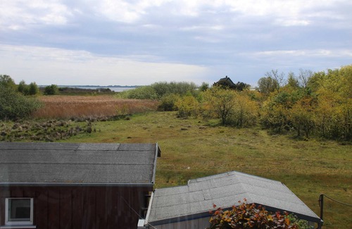 Hiddensee Apartment | 1 room apartment - Holiday home Boddenblick