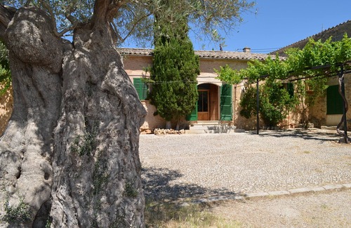 Sineu Apartment | 1 room