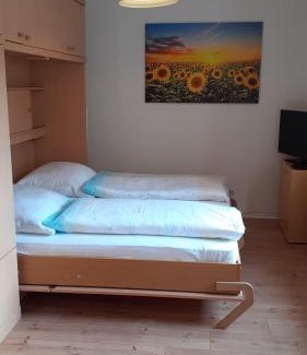 Luebeck Old Town Apartment | 1-Zimmer-Apartment-2-Hochparterre
