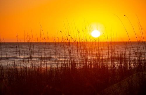 Harbour Town House | 1017 Caravel Court at The Sea Pines Resort