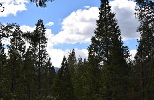 North Wawona Ski Chalet | 11B Sequoia House