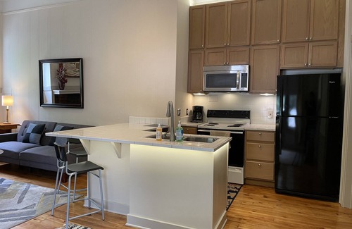 Southtown Apartment | 1322-#6 Downtown romantic cozy high ceiling 1BR unit