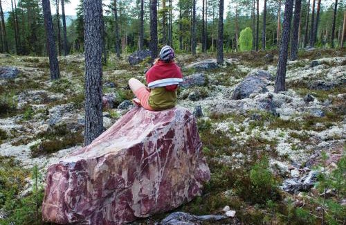 Ljordal House | 14 - Fulufjellets nasjonalparker - Natur-, dyre- og fugleopplevelser