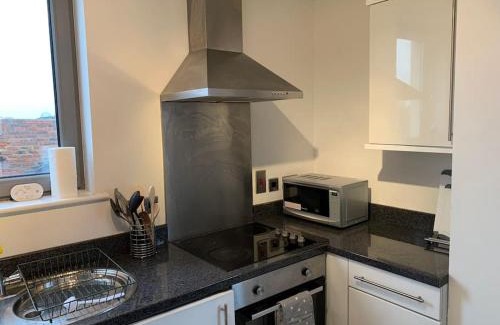 Darlington Apartment | 16 Vincent House