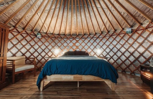 Asheville Cabin | 16’ Yurt in the Forest, Queen bed, kitchenette, hiking & 15 min to AVL.