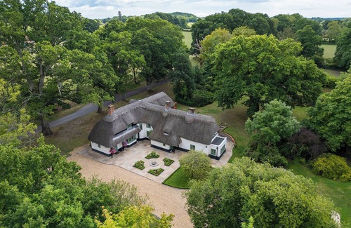 New Forest District House | 18th Century Thatched House on the Edge of the New Forest with large Jacuzzi