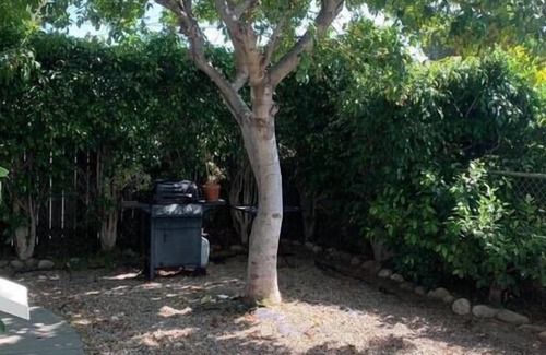 Santa Barbara House | 1905 Craftsman,3bdrms 3baths, PETS, Parking, Downtown! 2 blks State St, 7 Beach!