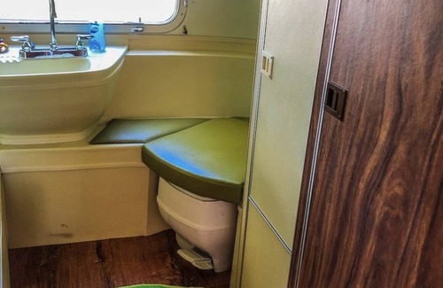 Irwin House | 1972 Groovy Airstream - Walking distance to the Snake River