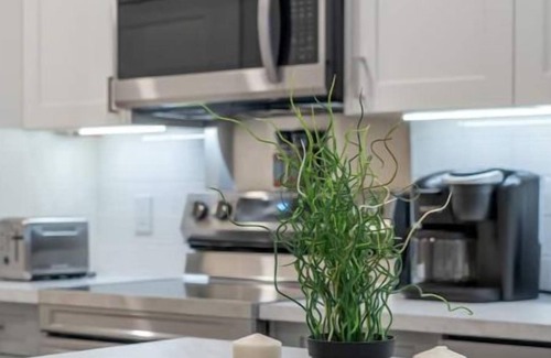 Calgary Apartment | 1Bdrm Suite- Howse Den