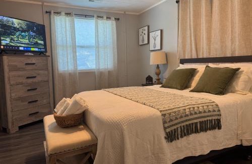 Knoxville Apartment | 1BR Near UT & Hospitals Quiet & Cozy Pet Friendly