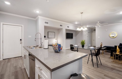 MacGregor Apartment | 1BR The Raven Flats C! Hermann Park! Zoo! Museums! Medical Center!