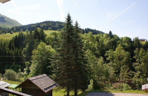 Le Grand-Bornand Apartment | 1st floor, balcony, parking, tv, ski locker, 26m², Le Grand Bornand