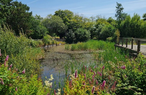 Davidstow Villa | 2-Bed Cottage, Sleeps 5, Pets Ok, Close to Coast