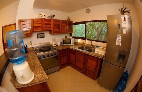 Akumal Apartment | 2 Bedroom Apartment In Quiet Secure Residential Complex Surrounded By Nature