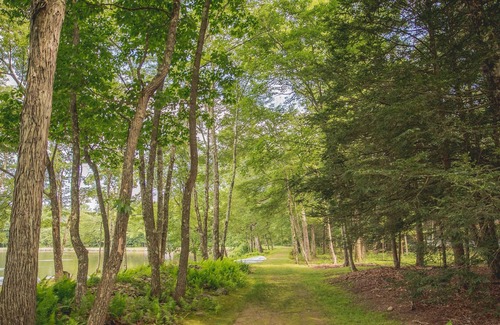 Reeders Cabin | 2 Bedroom Lake View Cabin, close to the lake and beach