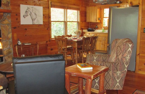 Blue Ridge Cabin | 2 En-Suite Masters! Gorgeous Mountain View! Dogs Ok. Updated 2022. Secluded.