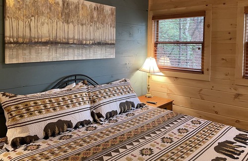 Blue Ridge Cabin | 2 En-Suite Masters! Gorgeous Mountain View! Dogs Ok. Updated 2022. Secluded.