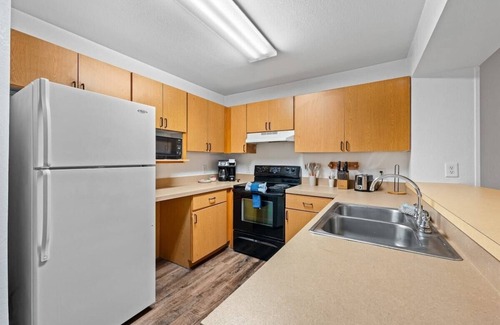 Bearss Plaza Apartment | 2 MI to USF Student Housing 24H Gym