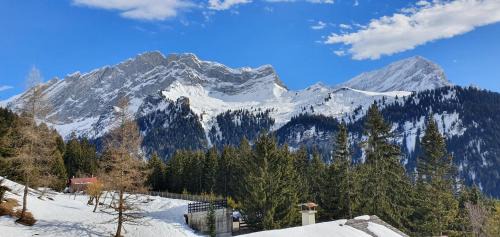 Alpe des Chaux Apartment | 2 pièces équipé avec parking privé