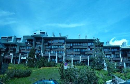 Le Lavachet Apartment | 2 pièces, 4 pers, proche pistes/commerces, balcon, animaux acceptés - FR-1-411-775