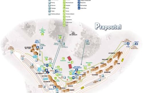 Prapoutel Apartment | 2 pièces au pied des pistes avec balcon et coin cuisine, animaux admis - FR-1-557-66