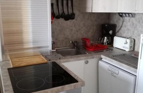 Prapoutel Apartment | 2 pièces au pied des pistes avec balcon et coin cuisine, animaux admis - FR-1-557-66
