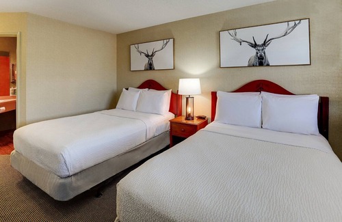 Galena Hotel | 2 Pools, Deluxe 2 Double Stoney Creek Galena | 3 Units