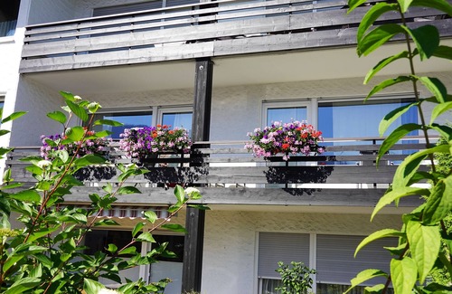 Verwaltungsgemeinschaft Hornergruppe Apartment | 2-raum-wohnung Rosenrot