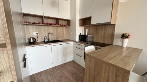 Nivy Apartment | 2 room apartment with terrace, Prievozska street