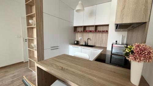 Nivy Apartment | 2 room apartment with terrace, Prievozska street