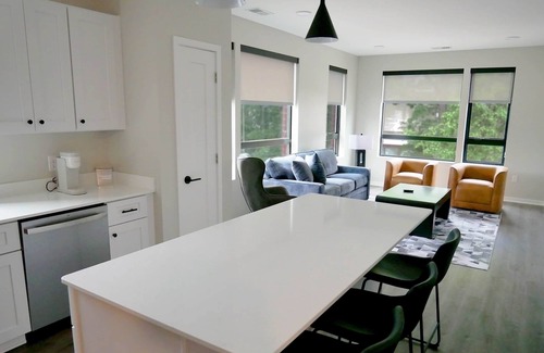 Downtown Omaha Apartment | #201 Spacious Boutique Apt, Near UNMC, Blackstone, Midtown