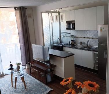 Ovalle Apartment | 202 Mitimae