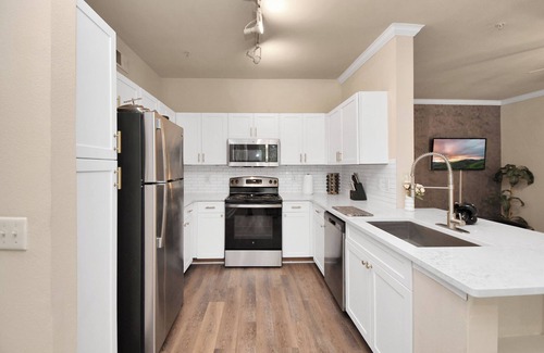 Houston Apartment | 2BR APT Near I NRG I Uptown Galleria I Med Center