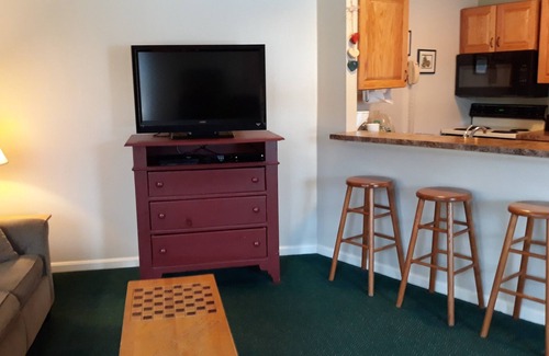 North Woodstock House | 2BR condo near Recreation Center, pool, hot tub and many more