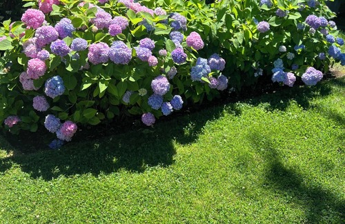 East Hampton North House | 3 bd 2.5 bath East Hampton. Walkable to Train Dining Business. Peaceful Relaxing