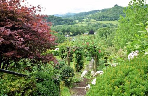 Llandovery House | 3 Bed in Llandovery 76381