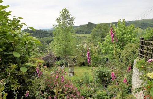 Llandovery House | 3 Bed in Llandovery 76381