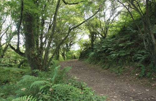 St Brides Cottage | 3 bedroom accommodation in Broadhaven