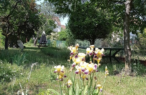 Sartrouville Bed & Breakfast | 3 Bedroom Bed & breakfast in Sartrouville