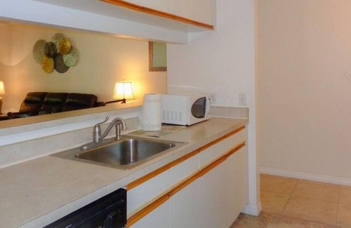 Pinellas Point Condo | 3 Bedroom Condo L-21002 by Houzlet