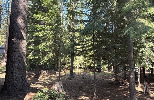 Black Butte Ranch House | 3-bedroom mountain oasis in Black Butte Ranch surrounded by trees