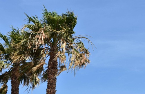 Caulonia Apartment | 3 Bedroomed, Air-conditioned Apartment With Pool View, Wifi & Spacious Balconey