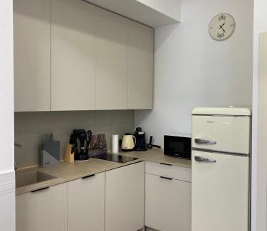 Lviv City Center Apartment | 3 bedrooms apartment on Nasypna 3
