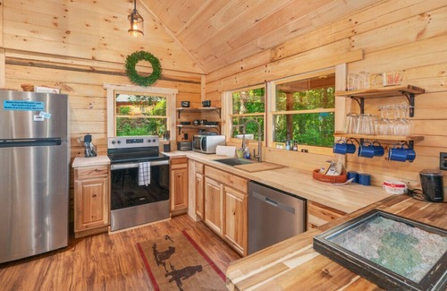 Bryson City Cabin | 3 Dog Night Cabin Hot tub|Firepit|Big Views