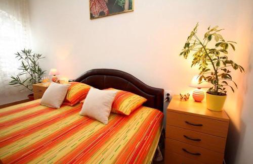 Palic House | 3 Platana