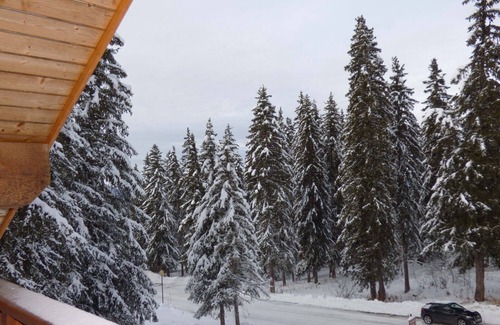 Meribel Apartment | 3-room apartment in Méribel Altiport - Ski-in/ski-out, pets allowed, parking available